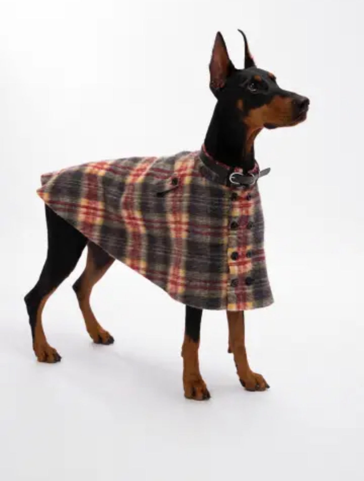 PawsCube high-end pet cape | 30% wool to keep warm without irritating the skin, British plaid pattern for all seasons, perfect for cats and dogs New Year party